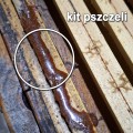 2kit.jpg